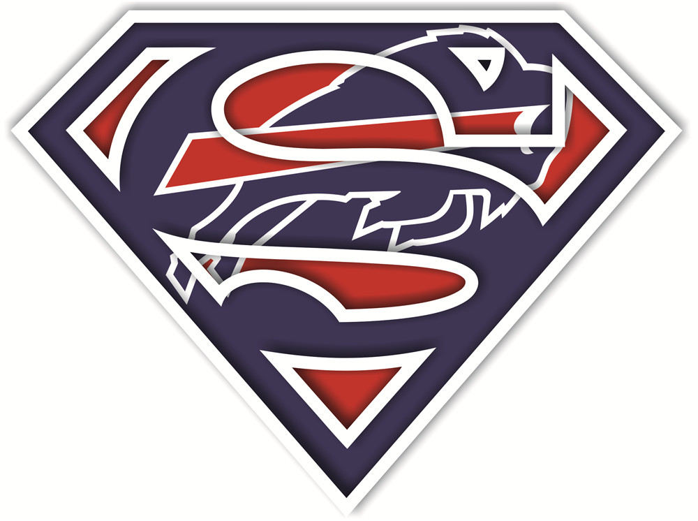 Buffalo Bills superman logos fabric transfer